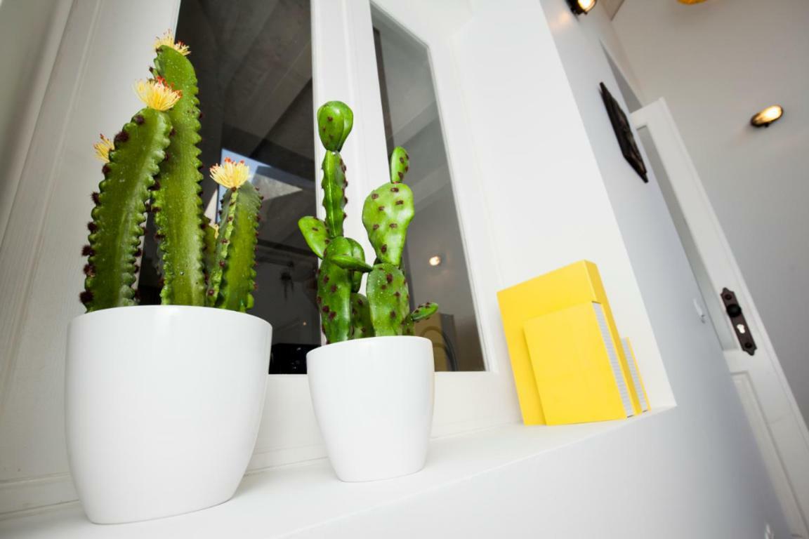 Get A Cactus And Books Studio Porto Buitenkant foto